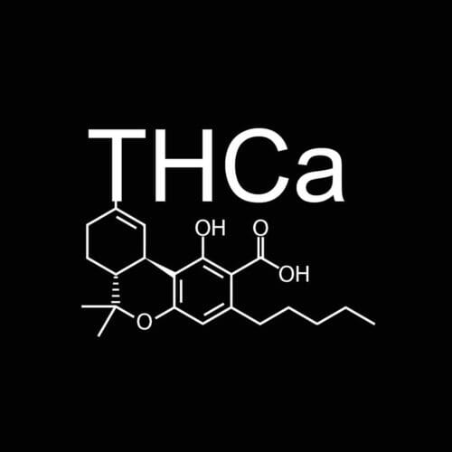 THCa FLOWER